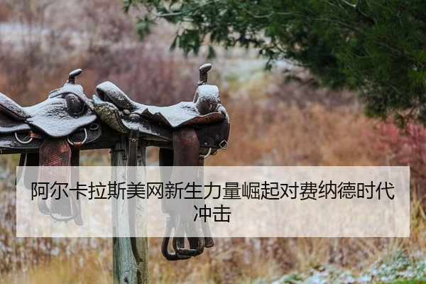 阿尔卡拉斯美网新生力量崛起对费纳德时代冲击